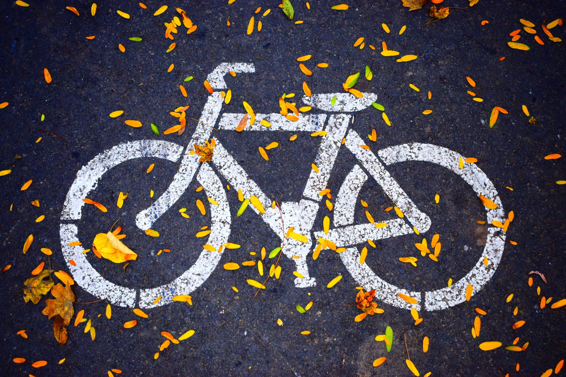 6 Questions You Must Ask Before Hiring a Bicycle Accident Attorney